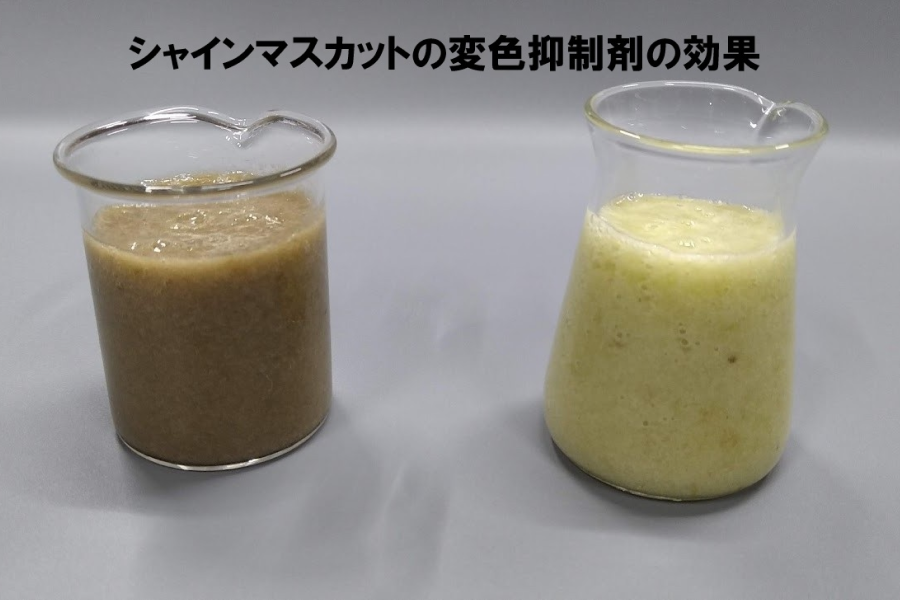 イメージ：サムネイル